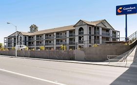 Comfort Inn Antioch - Century Plaza